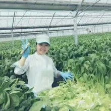 北京勞務派遣公司 供應產品