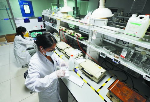 讓創新中藥綻放更多光彩 以嶺藥業以理論創新驅動中醫藥產業化、現代化、國際化